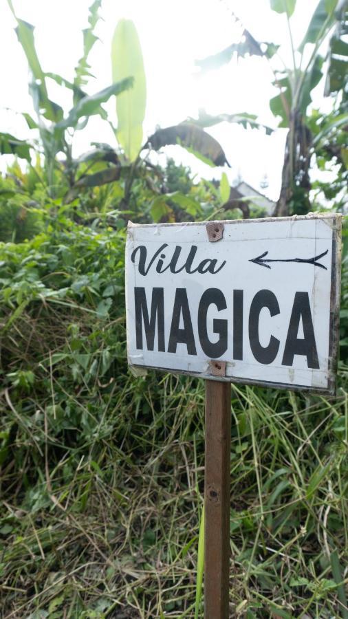 Villa Magica Ubud Exteriör bild