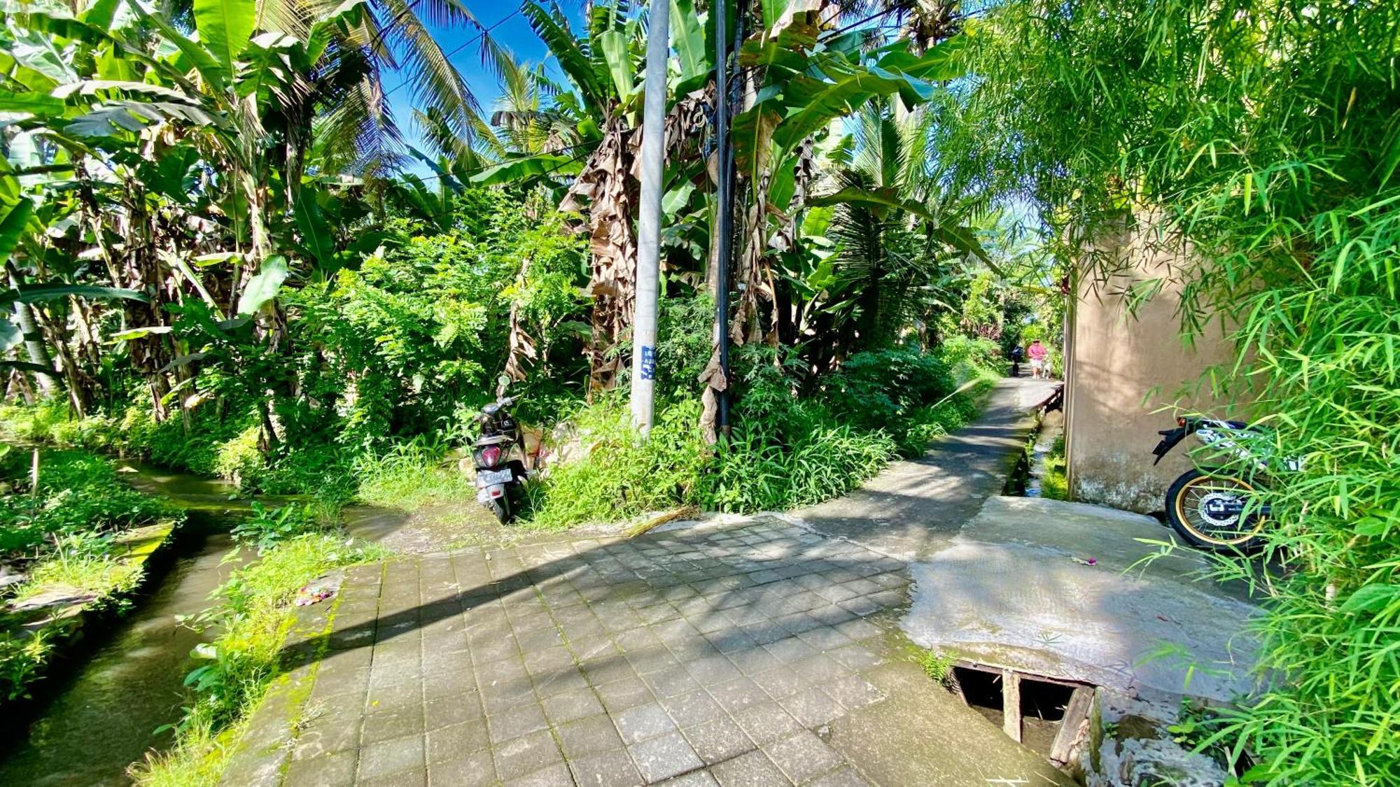 Villa Magica Ubud Exteriör bild